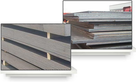 专业、高效、优质的服务 专业、高效、优质的服务